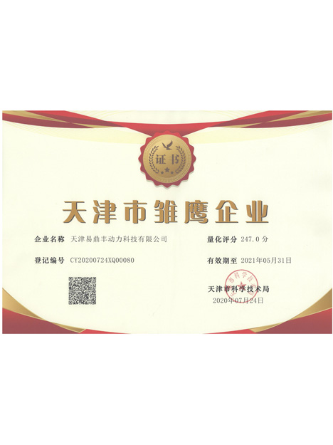 天津市雏鹰企业